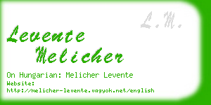 levente melicher business card